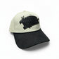 Gorra Tapete