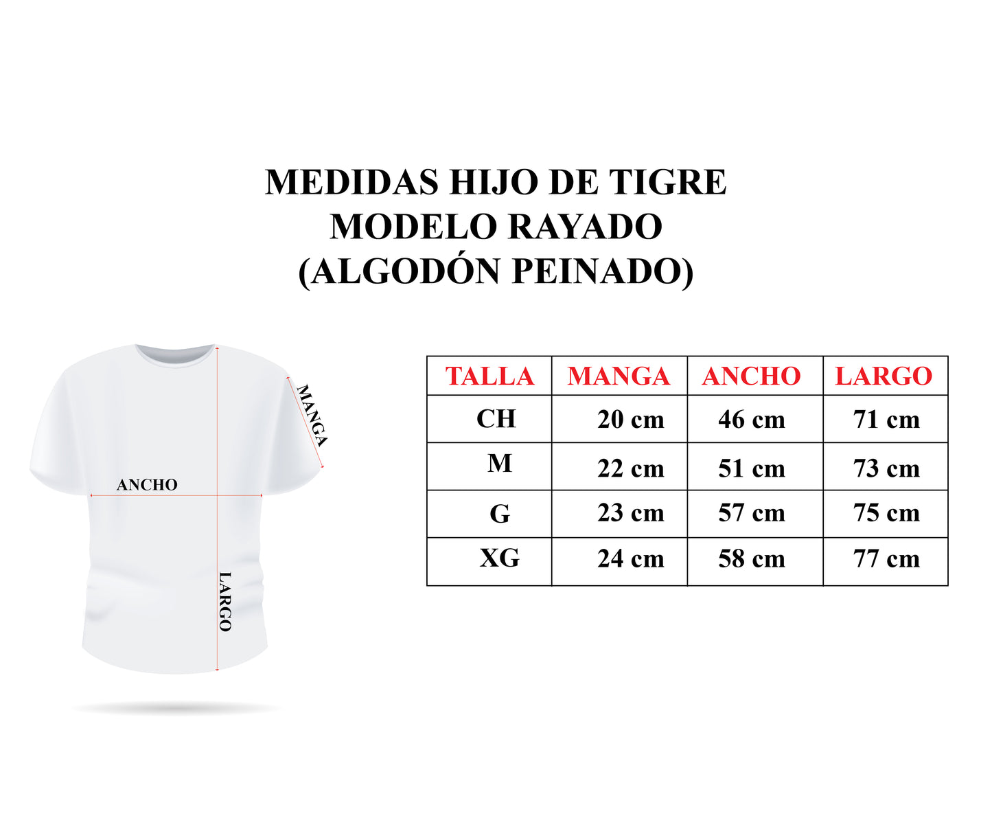 MODELO RAYADO